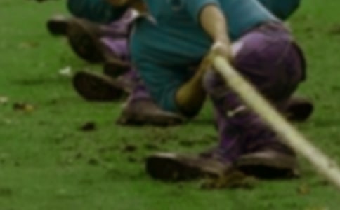 拔河比賽200字作文