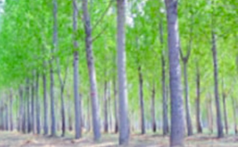 ���ח�̌W(xu��)��(sh��)�