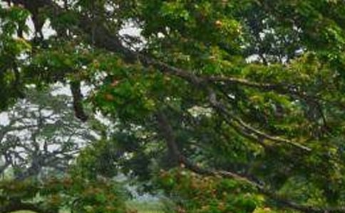 �����T�����ח�n��˼