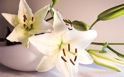 �����ϵİٺϻ��_�郞(y��u)������