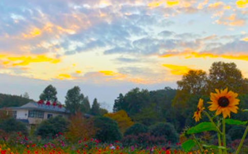 �茑����Ϧꖵ�Ԋ��