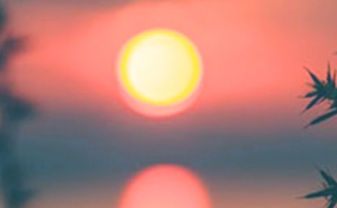 ����ɢ������