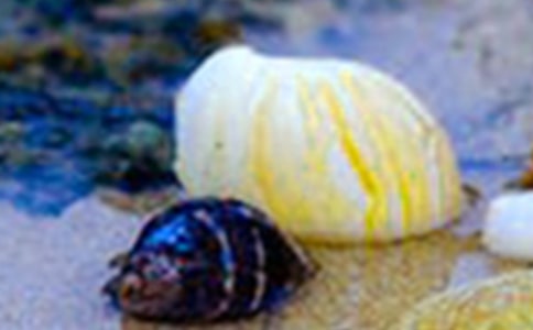 ��(sh��)�õ�ؐ��������ƪ