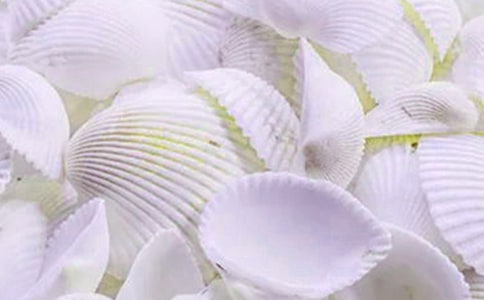 ���꼉(j��)�Ծ�ͯԒ��ؐ��з����ʧ_С�W(xu��)������