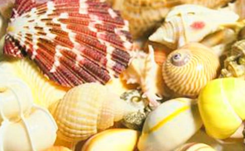 ����ؐ����С�W(xu��)���ģ����x4ƪ��