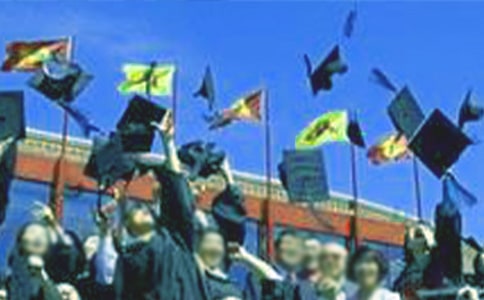 ���I(y��)����Ψ������300��