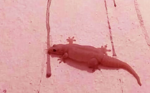 [�]]�ڻ��ĊW������3ƪ