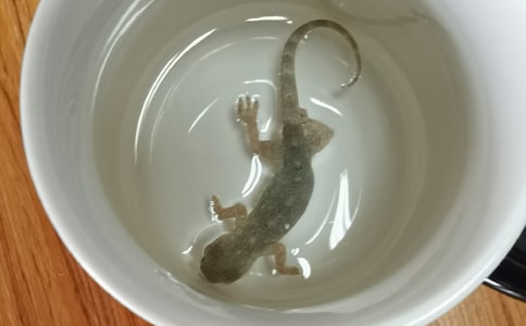 С�ڻ�ؐؐ��С�������250��