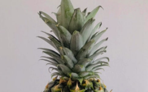 ���}���������ģ�����3ƪ��