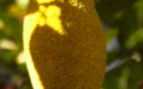 ���п��ԳԲ��}�۸Ɇ������г�ʲô���^��