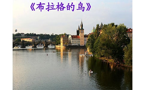 ����������B���x��з��ģ����x5ƪ��