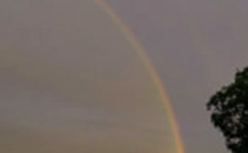 [��]�ʺ������15ƪ