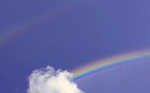 �ʺ�������