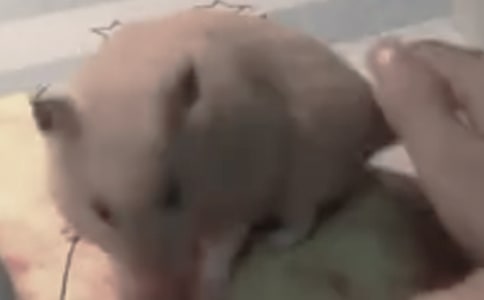 С�}�������