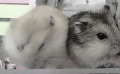 �}��(y��u)������[���x]