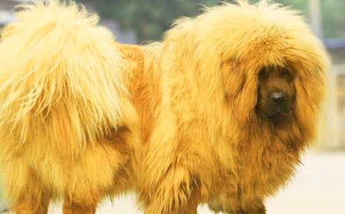 �x�����ᡱ�иЅR��15ƪ