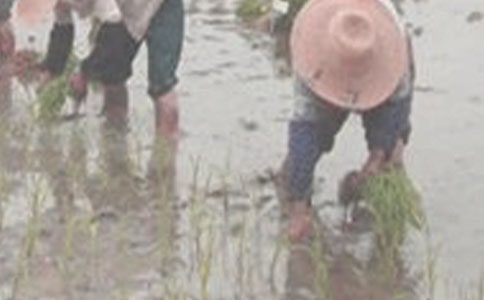 ���������ąR��[15ƪ]