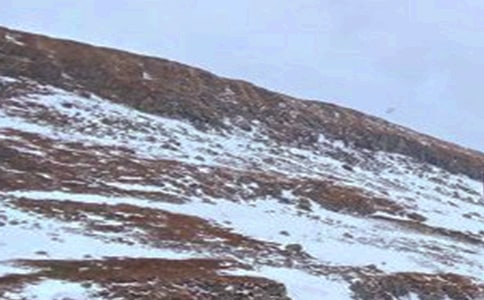 �L(zh��ng)��ɽ������