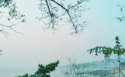 教誨如春風(fēng)師恩似海深作文