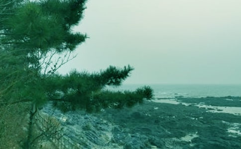 ���괺�L(f��ng)�־G���ϰ�650������