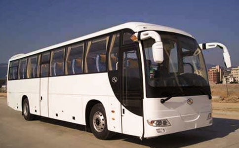 綠色大巴扎作文550字