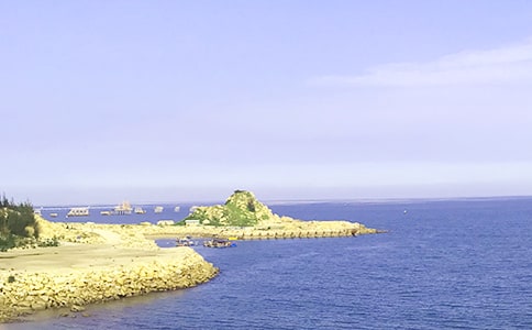 �󺣵����ġ�����15ƪ��