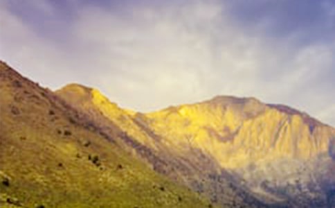 �ҵĴ�ɽ���ġ��]��