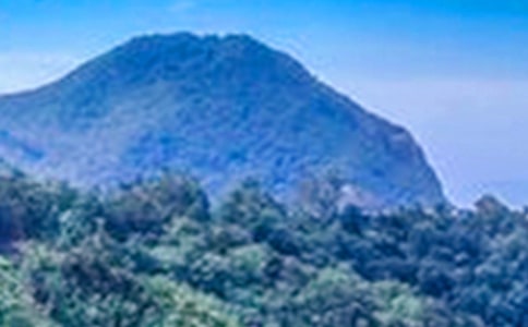 ��ɽ����̎����