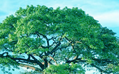 ��׃���˴������