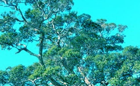 ����(sh��)�ã��������(sh��)����15ƪ