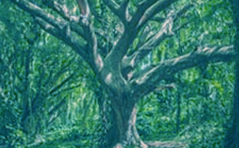 С�ݺʹ���x���