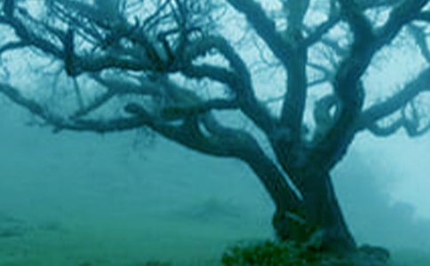 �����ϡ�����һ�ô������14ƪ