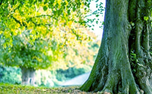 ���Ǵ������