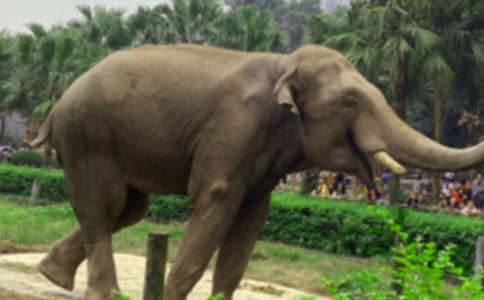 �����С�����^�ӿ��D��Ԓ