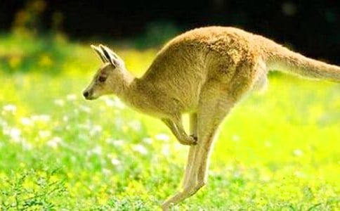 �����������ļ��ϣ�9ƪ��