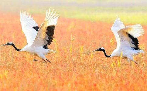 ����Q���ļ��\[15ƪ]