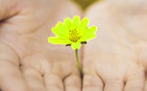 �P(gu��n)������ʿ��ΌW(xu��)����Ǹ