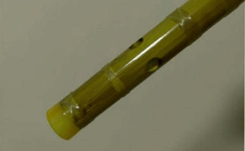 ���ڵ�����Ĺ���