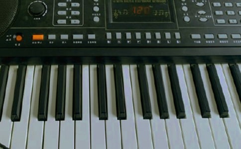 學(xué)彈電子琴優(yōu)秀作文300字