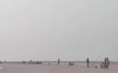 釣魚(yú)優(yōu)秀作文