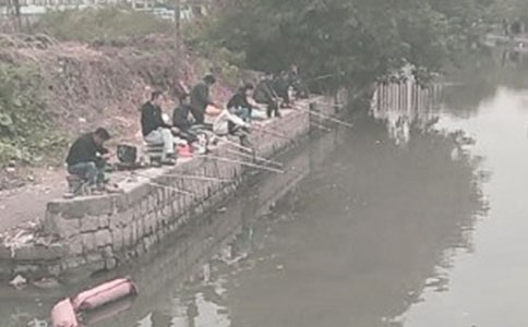 釣魚的日記(精選24篇)