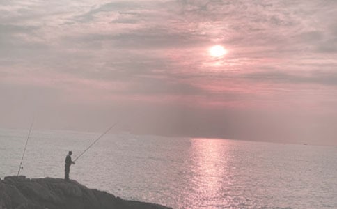 �P(gu��n)����~��ӛ