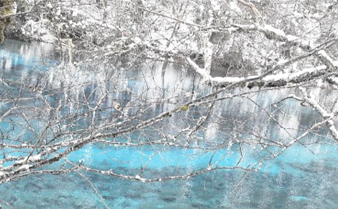 ����Ķ�������