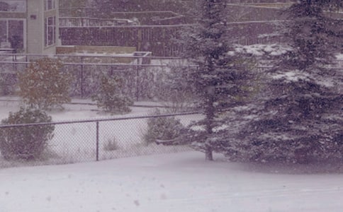 ����ůꖵ�Ψ������