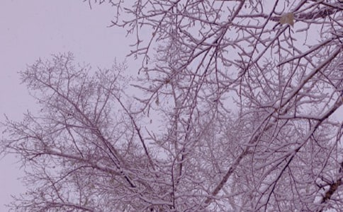 ���յ�ů��ף���Z