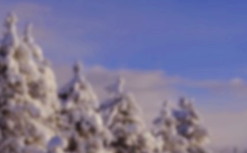 �Ϻ��Ķ�������