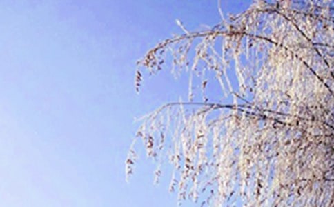 冬天作文200字(精選10篇)