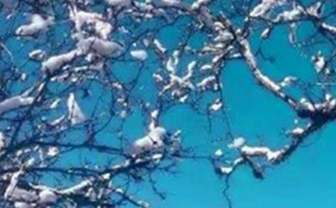 �茑���쾰ɫ�ľ���