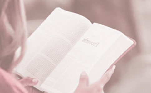 ����(j��ng)�䣩�����x���ջ�Ӻ���15ƪ