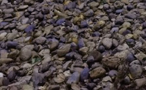 �Z��ʯ����